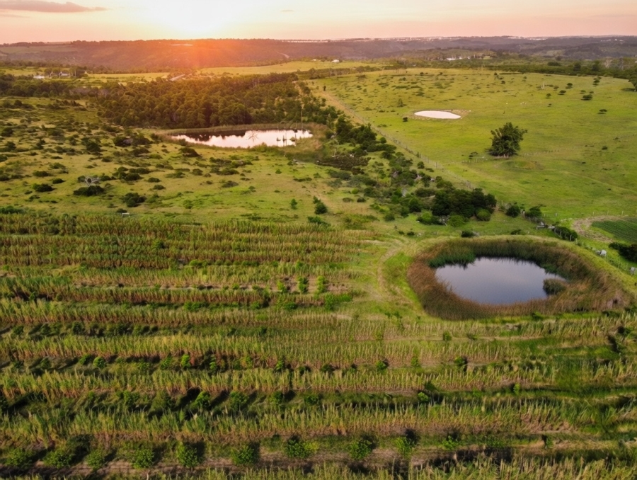 3 Bedroom Property for Sale in Kidds Beach Eastern Cape